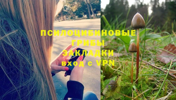 ALPHA PVP Алзамай