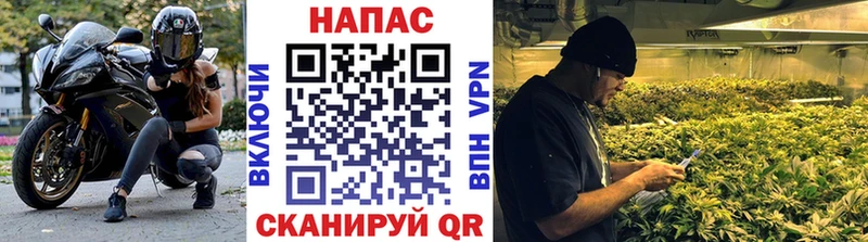 МАРИХУАНА гибрид  Амурск 